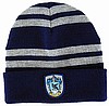 Ravenclaw House Beanie by Harry Potter